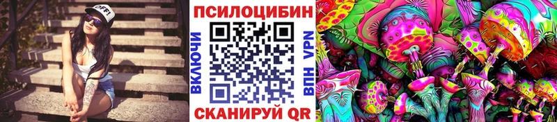 мега вход  Карабаш  Псилоцибиновые грибы мицелий 